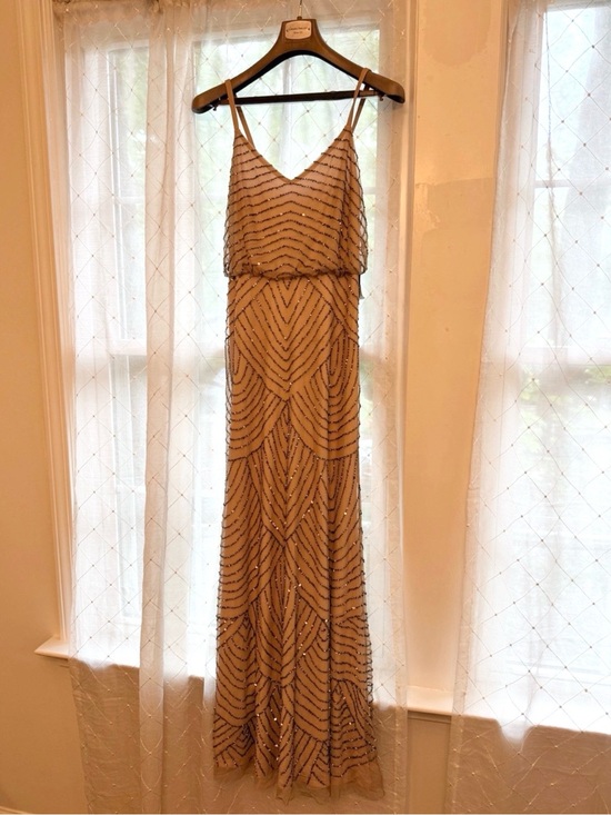 Adrianna Papell Dresses & Skirts - Adrianna Papell Blush Pink Beaded Evening/Prom Dress